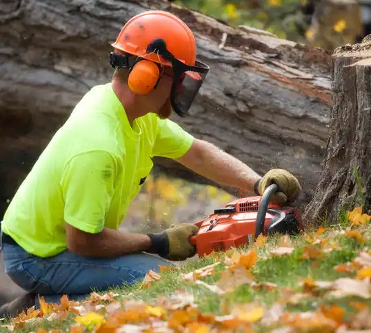 tree services Sarcoxie